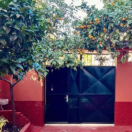 펜션 Zarlett House, Pazari Ri ,villa With Garden,parking *